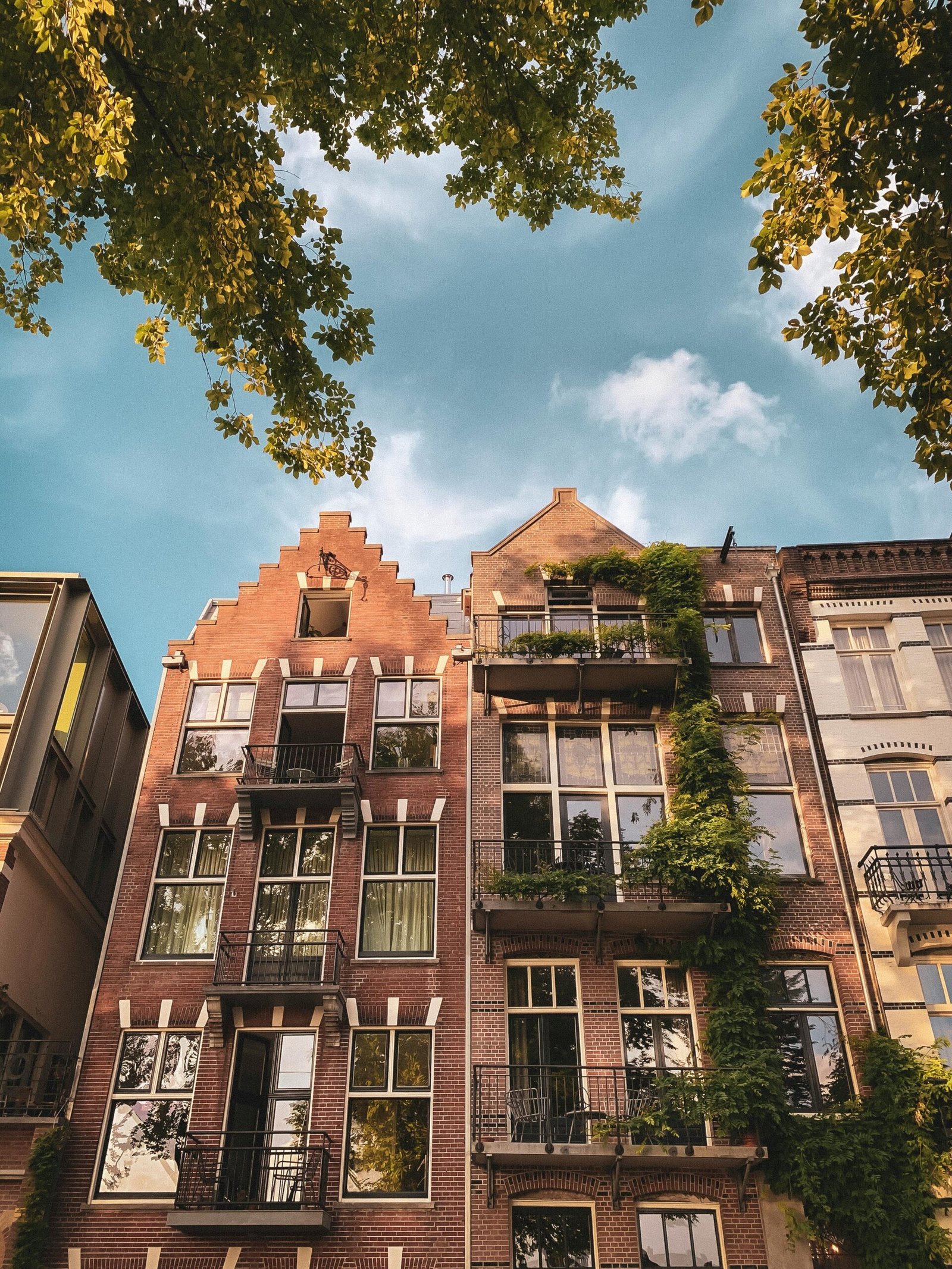 Explore the beautiful historic facades of Amsterdam's iconic canal houses in this captivating photo.