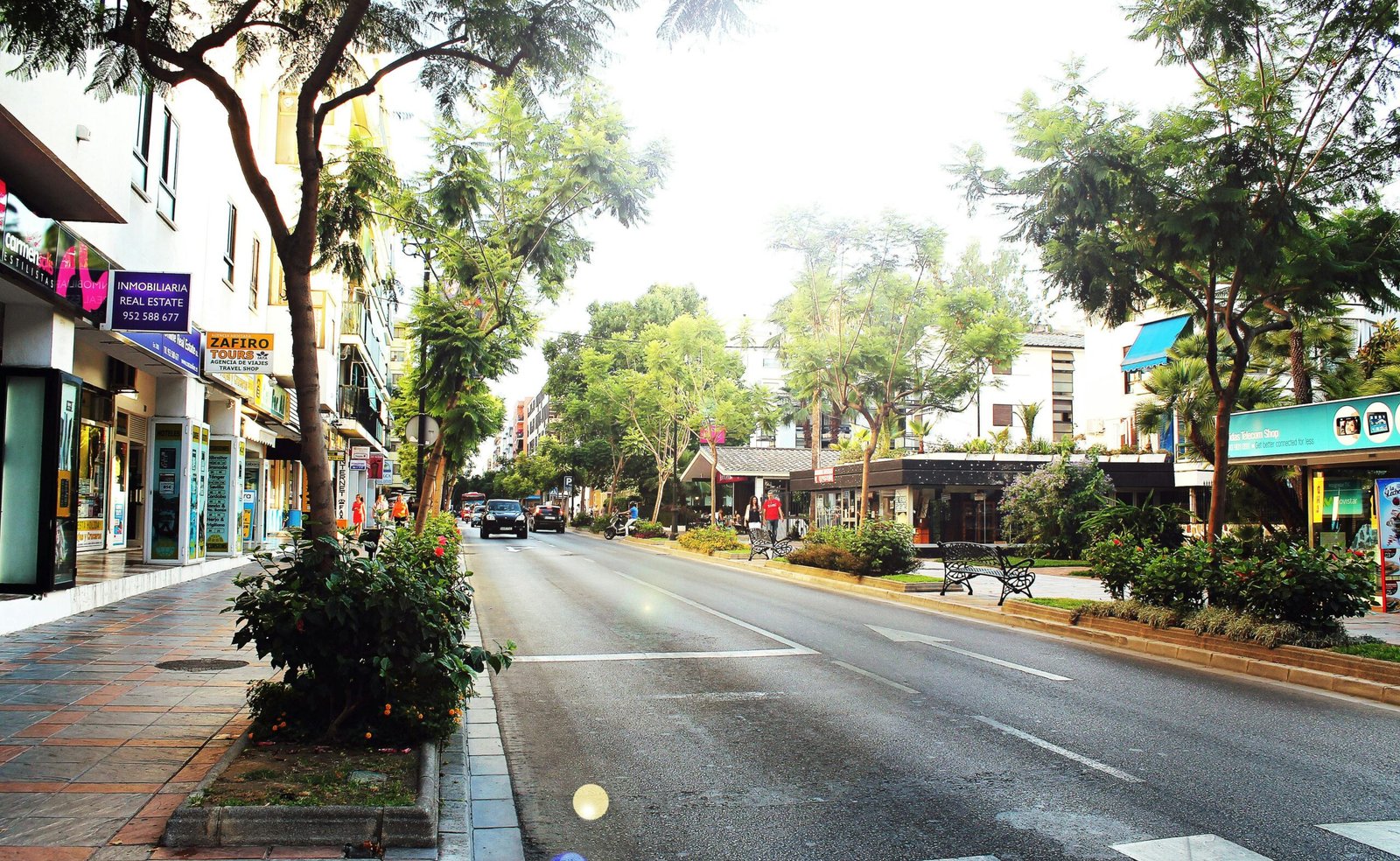 A vibrant city street scene with lush green trees and shops, capturing an urban atmosphere.